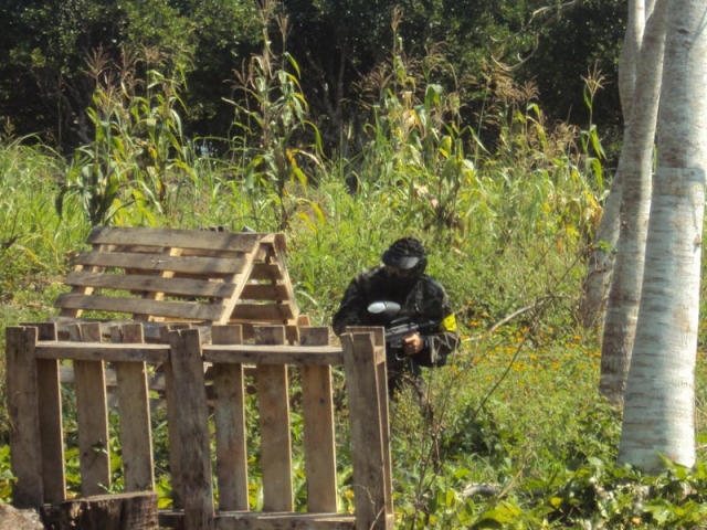estrategia en el campo